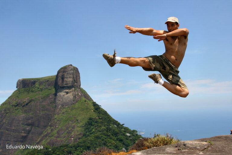 kung fu kick